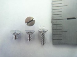 65131_464368636953878_867413749_n