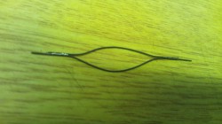 1061114_463077503783753_1838937884_n